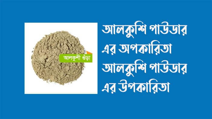 আলকুশি-পাউডার-এর-অপকারিতা-আলকুশি-পাউডার-এর-উপকারিতা